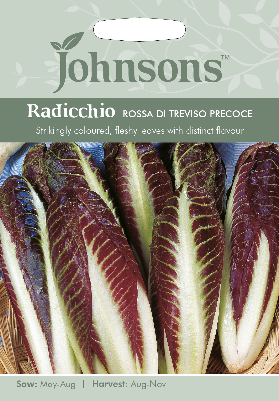 Fræ Radicchio Rossa Di Treviso Precoce