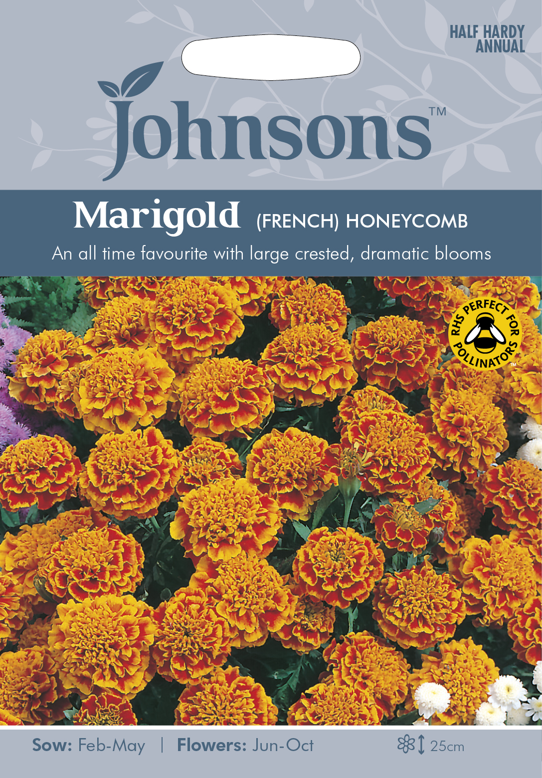 Fræ Marigold (French) Honeycomb