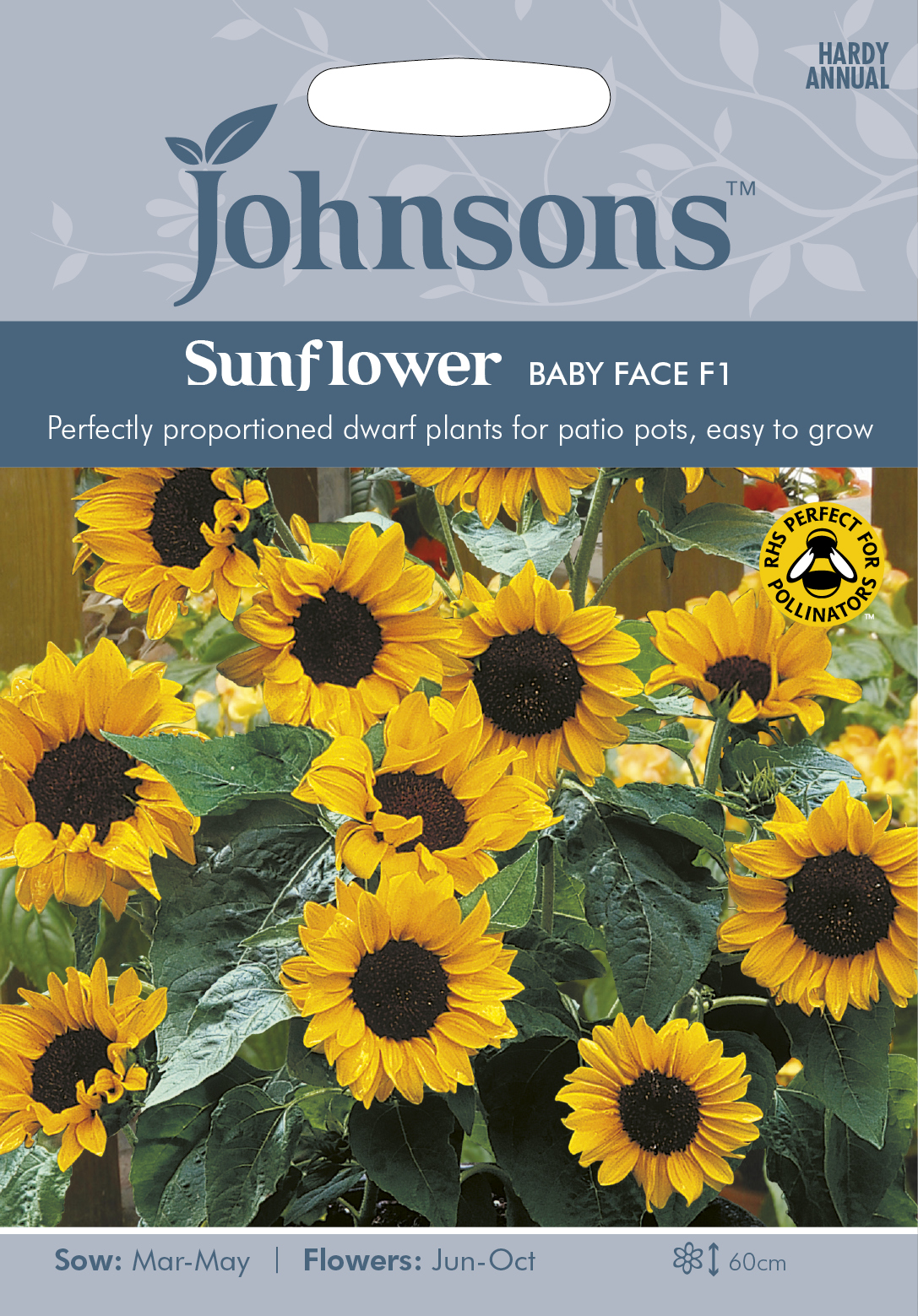 Fræ Sunflower Baby Face F1