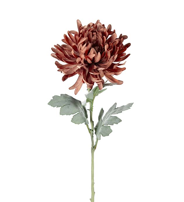 Gervi Chrysanthemum 60cm