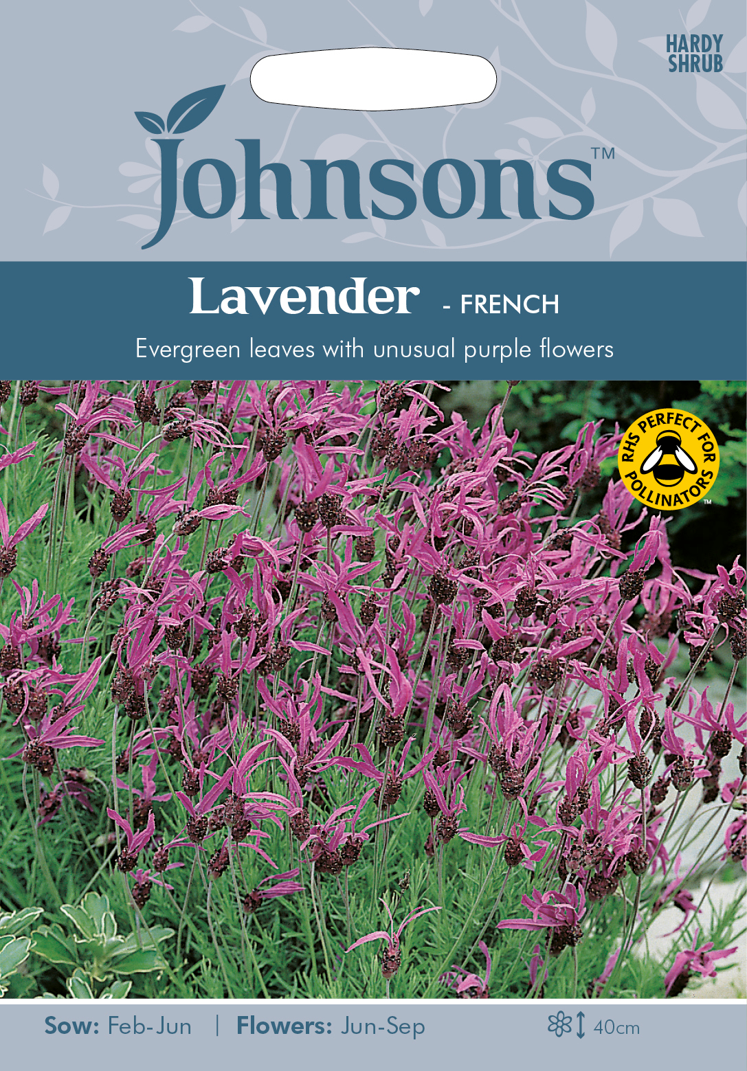 Fræ Lavender French